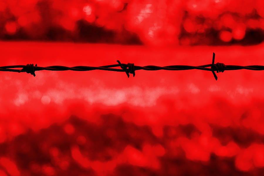 Barbwire Digital Art - Barbed wire 2 by Steve Ball