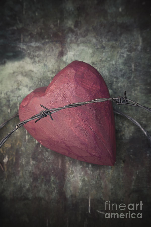 Barbed wire and heart Photograph by Maria Heyens