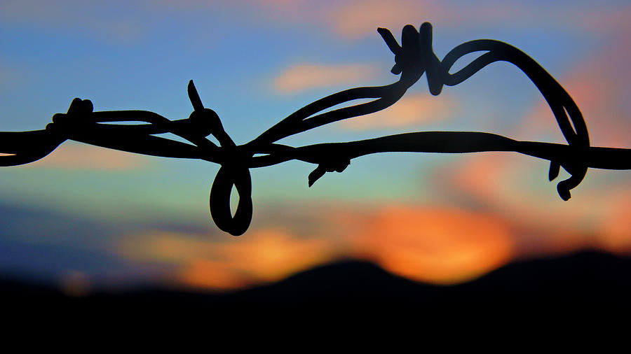 Barbed Wire at Sunset Photograph by Daniel Woodrum
