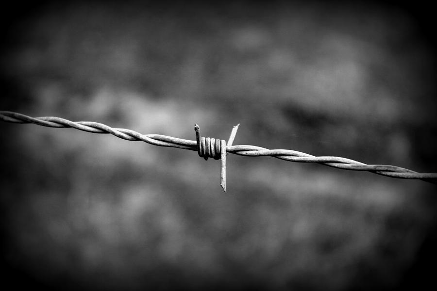 Black And White Photograph - Barbed Wire  by Beth Vincent