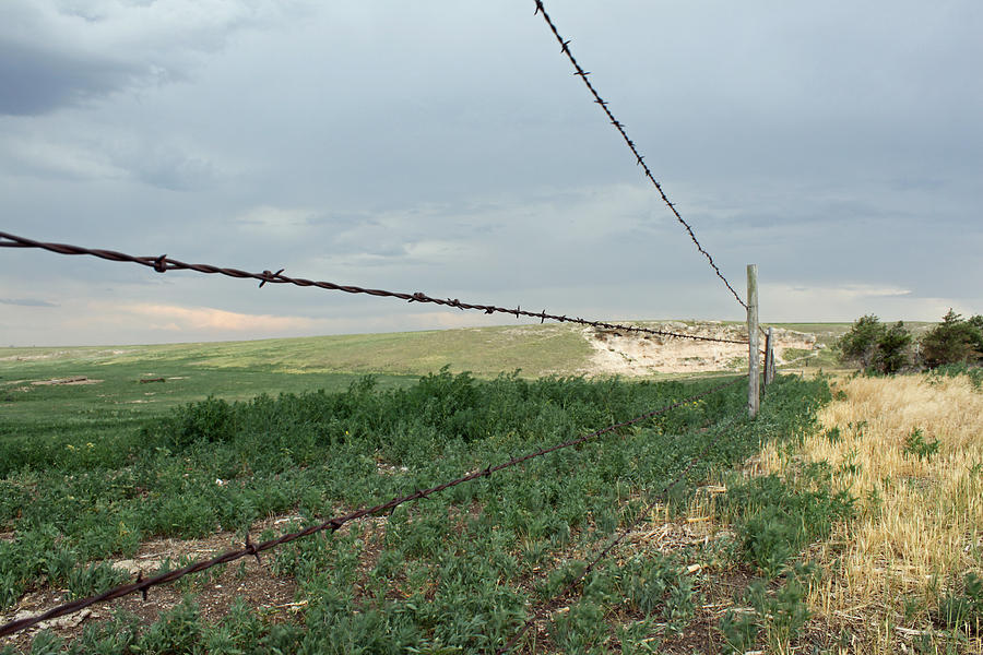 Barbed Wire Boundary Photograph by Kami McKeon