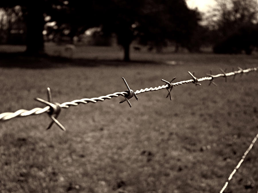 Barbed Wire Photograph by Eugene Campbell