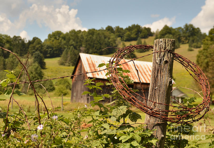 Barbed Wire Farm Photograph by Jeanne  Woods