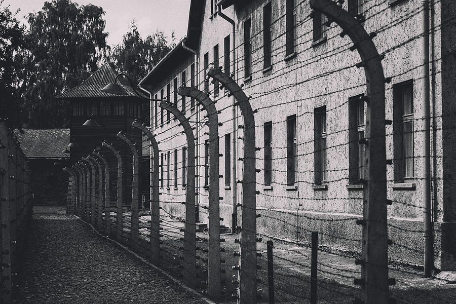 Barbed wire fence at Auschwitz Photograph by Marcus Lindstrom