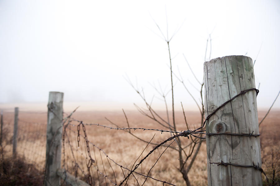 Barbed Wire Fence in the Fog Photograph by Todd Aaron