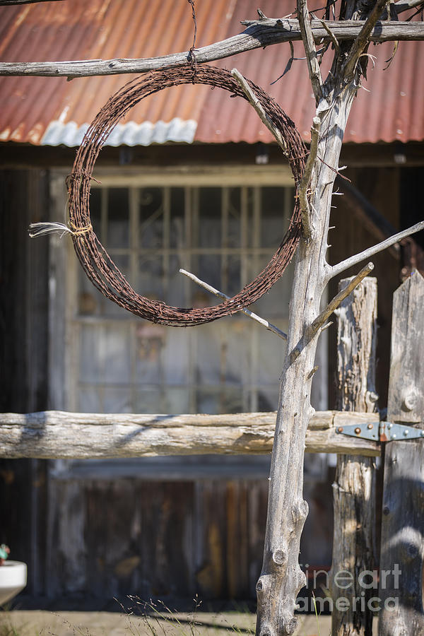Barbed Wire Hanging by Ranch House In Color 3006.02 Photograph by M K Miller