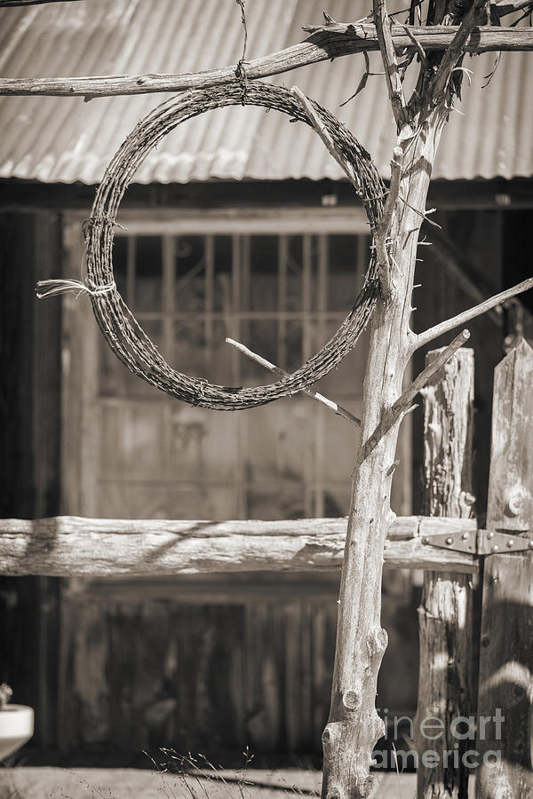 Barbed Wire Hanging by Ranch House In Sepia 3006.01 Photograph by M K Miller
