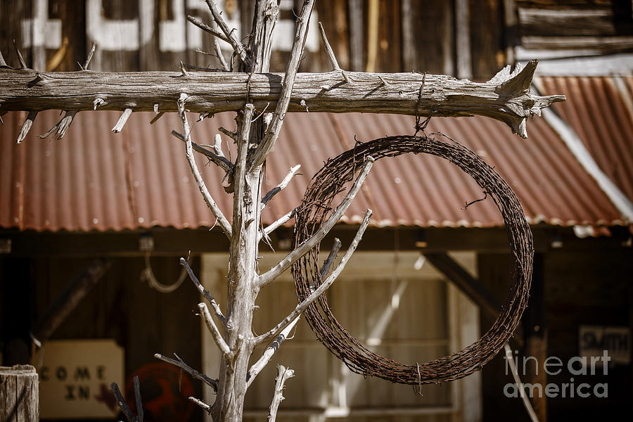 Barbed Wire in front of an old house in Color 3001.02 Photograph by M K Miller