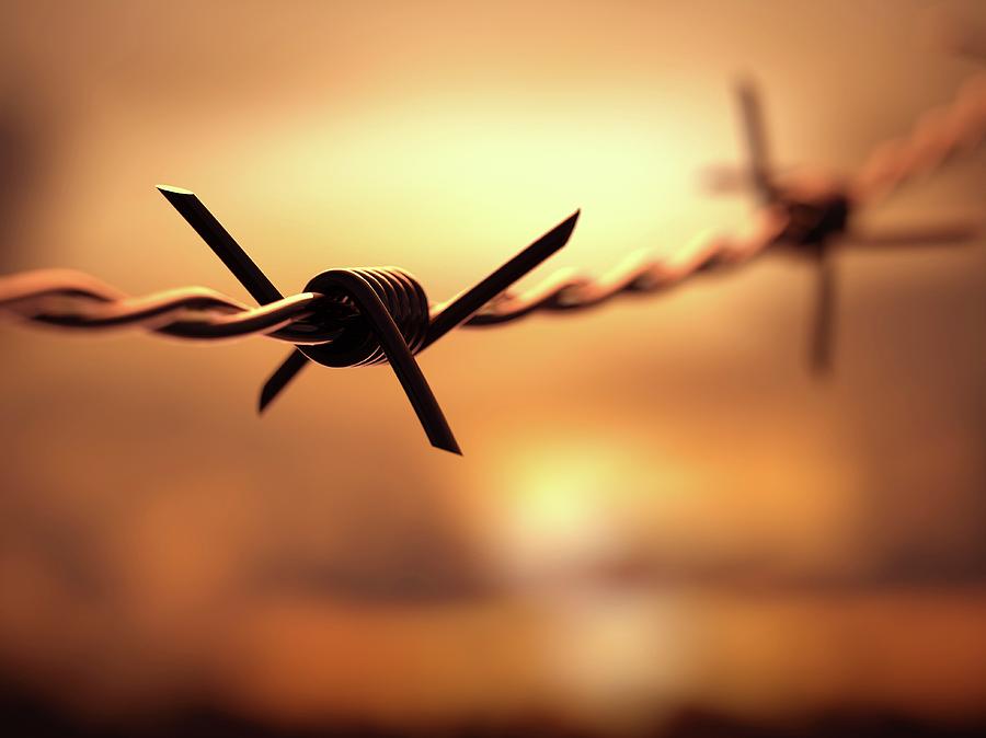 Barbed Wire Photograph by Ktsdesign