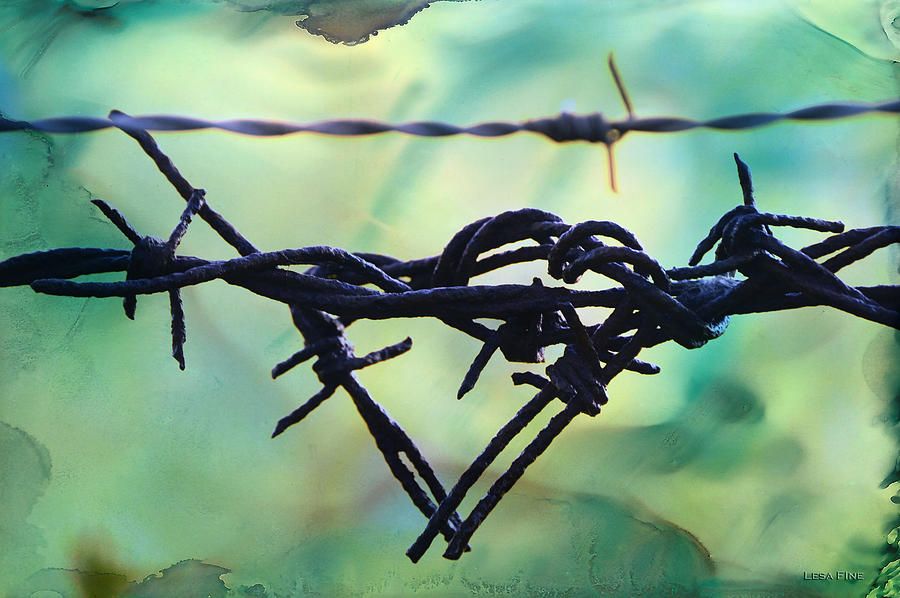 Barbed Wire Love-Jealousy 2 Photograph by Lesa Fine
