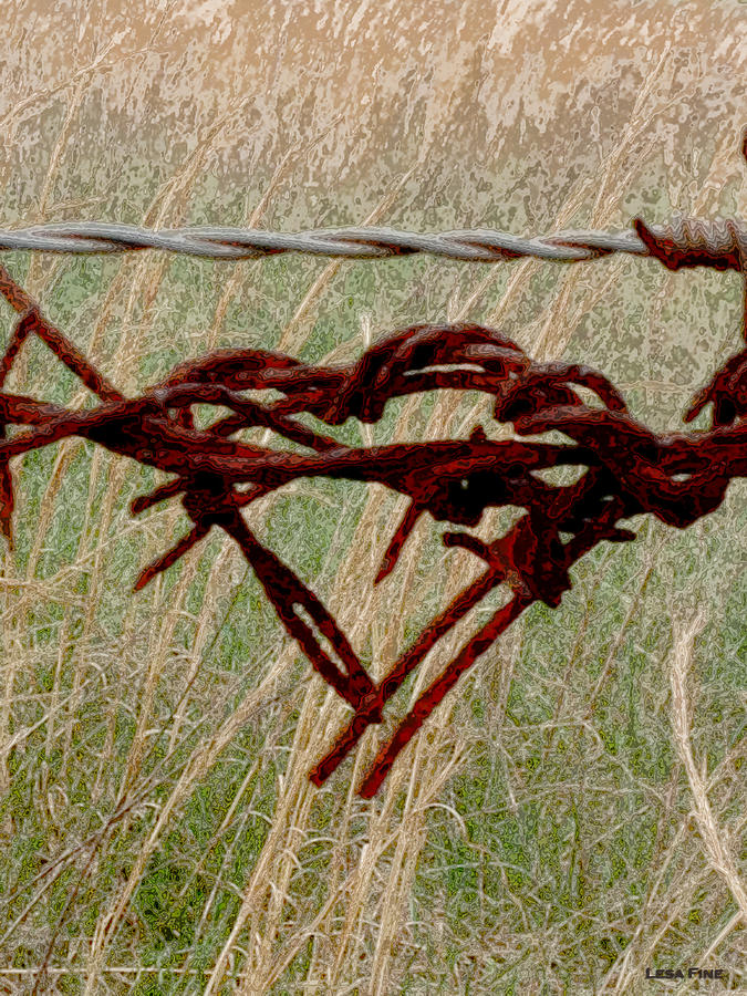 Barbed Wire Love - Photo Print Photograph by Lesa Fine