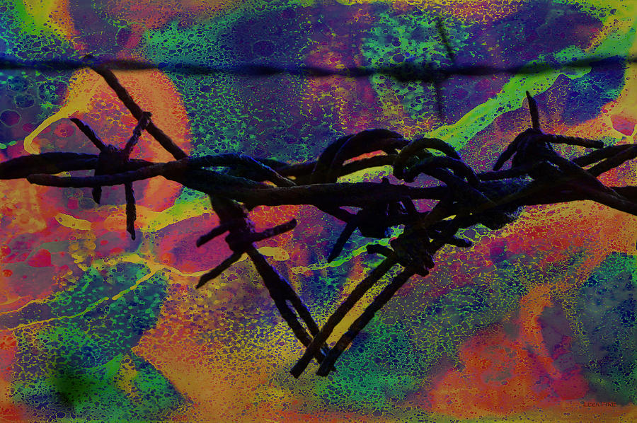 Barbed Wire Love-Punch Drunk Mixed Media by Lesa Fine