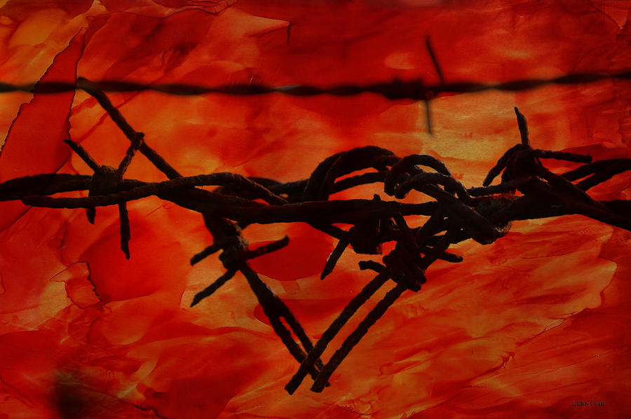 Barbed Wire Love Series  Rage Photograph by Lesa Fine