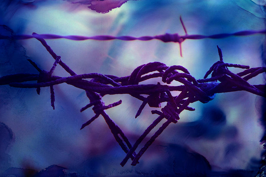 Barbed Photograph - Barbed Wire Love Series The Blues 2 by Lesa Fine