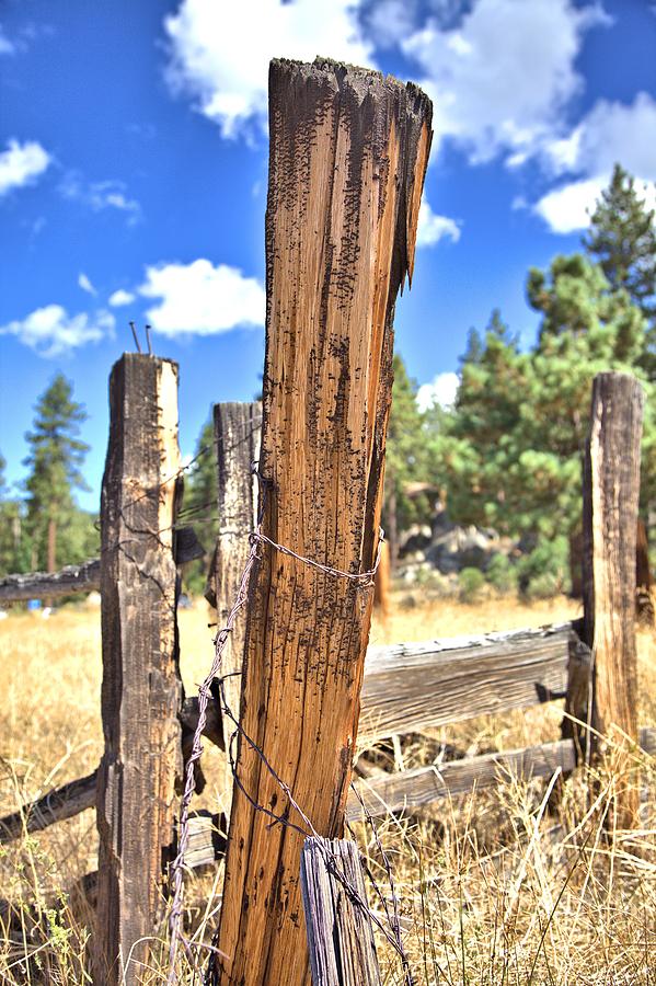 Barbed Wire on a Fencepost Photograph by Gordon Elwell