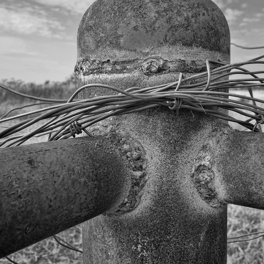 Barbed Wire on Fence Post - black and white photography Photograph by Ann Powell