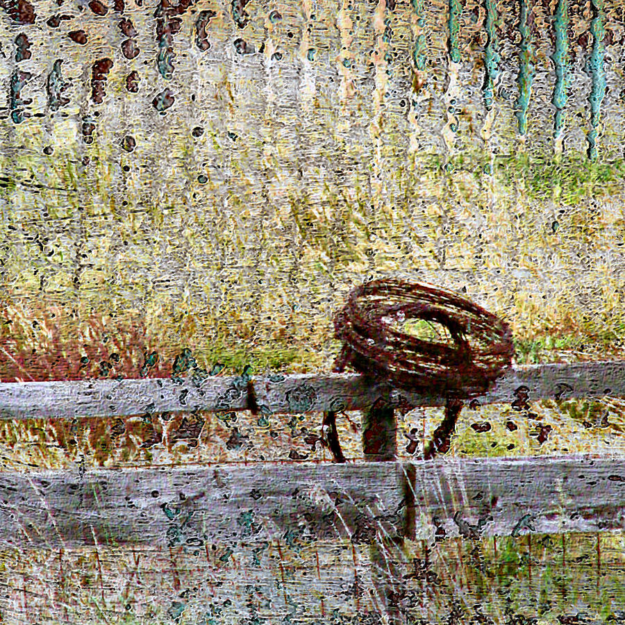 Barbed Wire on Wooden Fence Digital Art by Cassie Peters Fine Art America