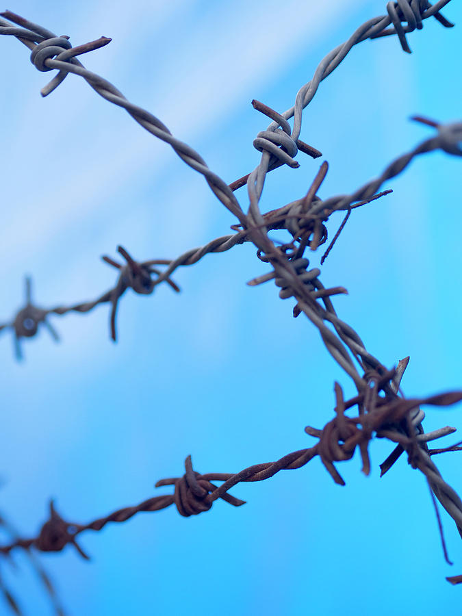 Bangalore Photograph - Barbed Wire Sticks Out Against The Blue by David H. Wells Bangalore Photograph - Barbed Wire Sticks Out Against The Blue by David H. Wells