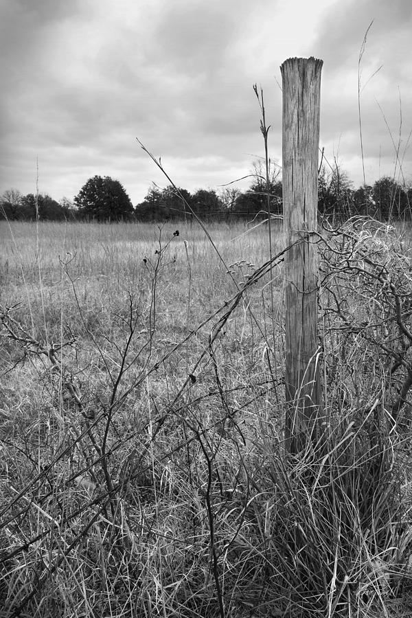 Barbed Wire Tangle in Black and White Photograph by Ann Powell