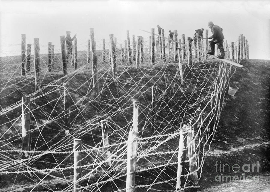 Barbed Wire Trench Defences, World War I Photograph by Library Of ...