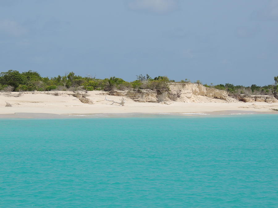 Beach Photograph - Barbuda Beach and Dunes by Kimberly Perry