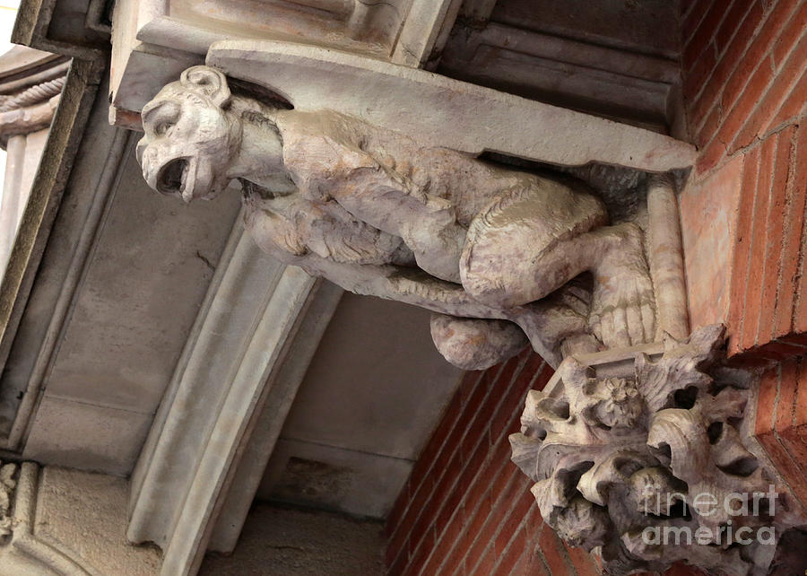 Barcelona Gothic Monkey Gargoyle Photograph by Carol Groenen - Pixels