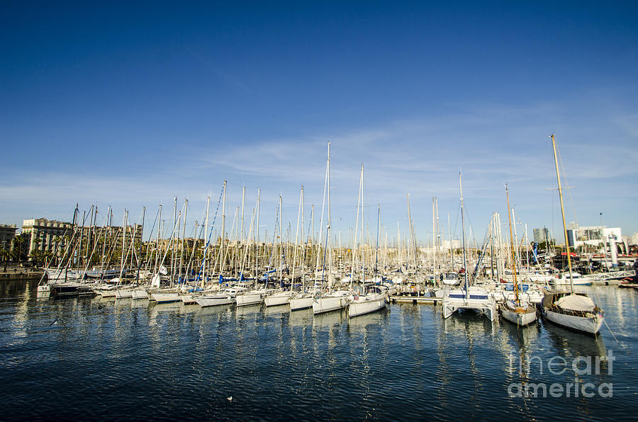 Barcelona Harbor Photograph by Deborah Smolinske