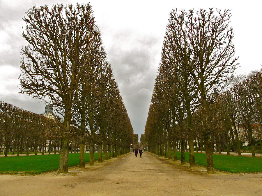 Winter Photograph - Bare Luxembourg Gardens by Lexi Heft