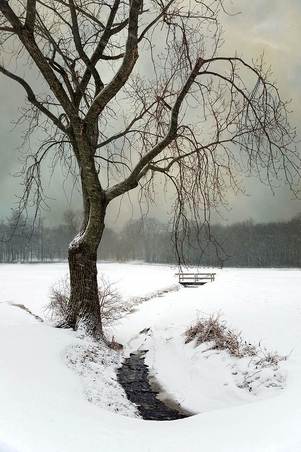 Winter Brook Photograph by Robin-Lee Vieira