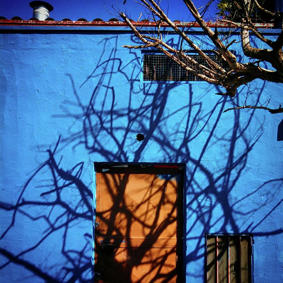 Bare Tree Shadow On Blue Building Photograph by Fernando Silva / Eyeem