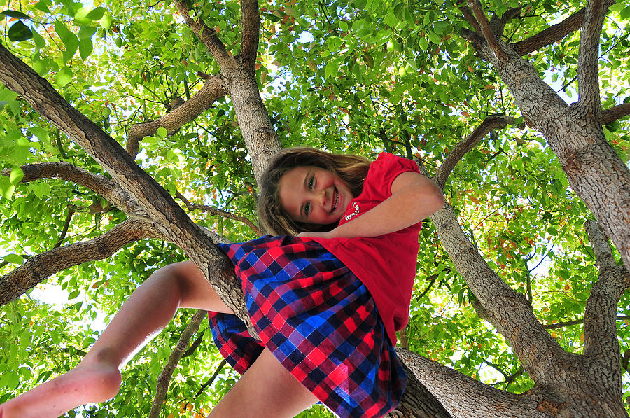 Barefoot Girl In Tree Photograph by Mitch Diamond
