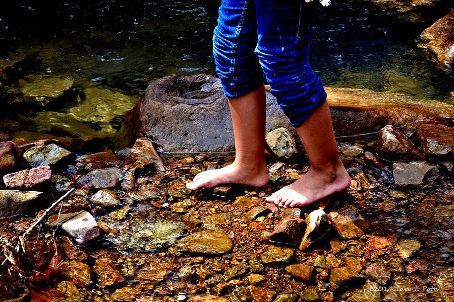 Barefoot in the Creek Photograph by Tara Potts