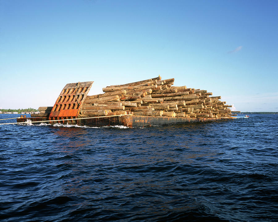 Barge Laden With Timber Photograph by Sinclair Stammers/science Photo Library