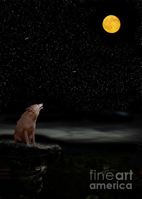 Bark at the moon Photograph by Dan Friend