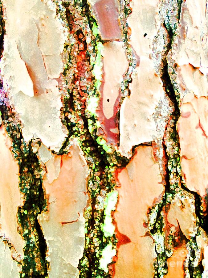 Nature Photograph - Bark with an Accent by Barbie Corbett-Newmin