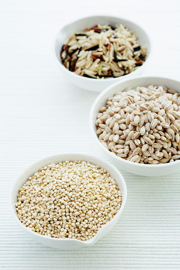 Barley Photograph by Science Photo Library Barley Photograph by Science Photo Library