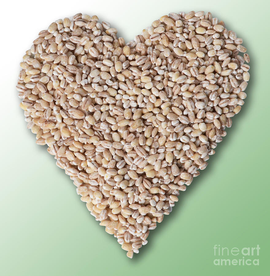 Cereal Photograph - Barley Heart by Gwen Shockey