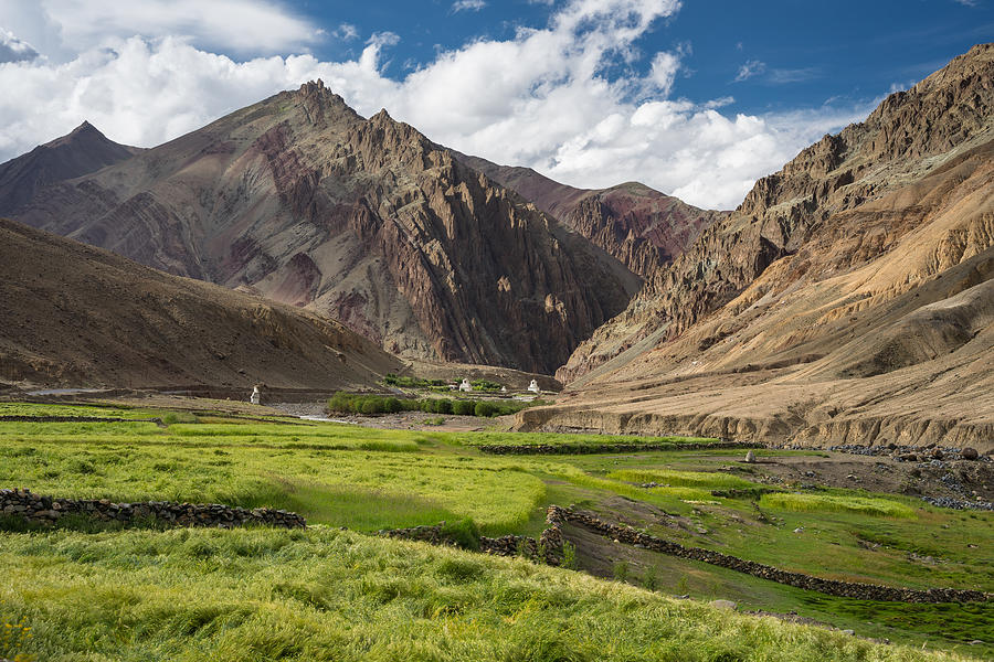 Barley rice field in summer and himalaya moountain, Leh, Ladakh,india Photograph by Punnawit Suwuttananun