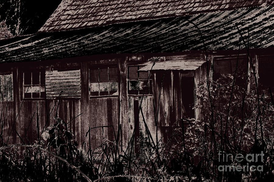 Abstract Photograph - Barn And Bramble by Deanna Proffitt