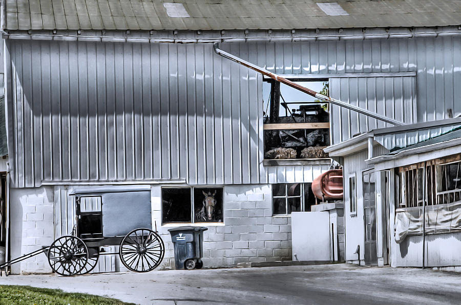Barn and Buggy Photograph by Dyle   Warren