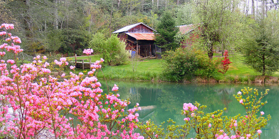 Barn and Flowers near Pond Photograph by Duane McCullough