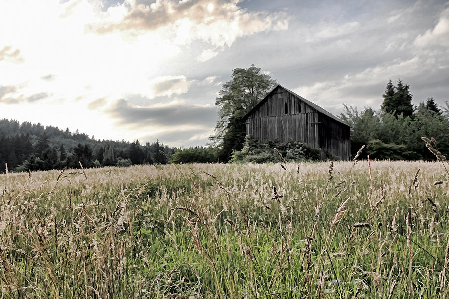 Barn And Grass Photograph by Athena Mckinzie