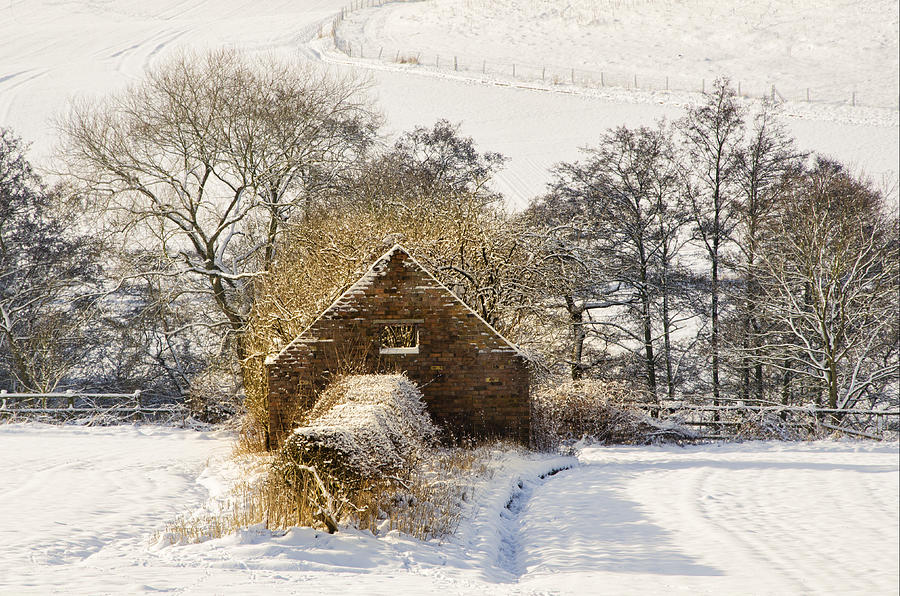 Barn and snow Photograph by Steev Stamford