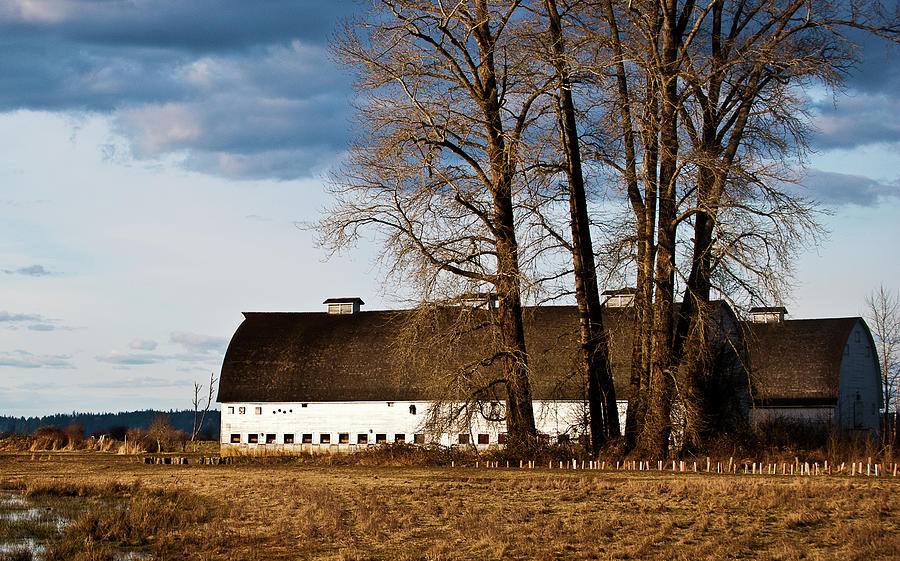 Washington Photograph - Barn and Trees by Ron Roberts