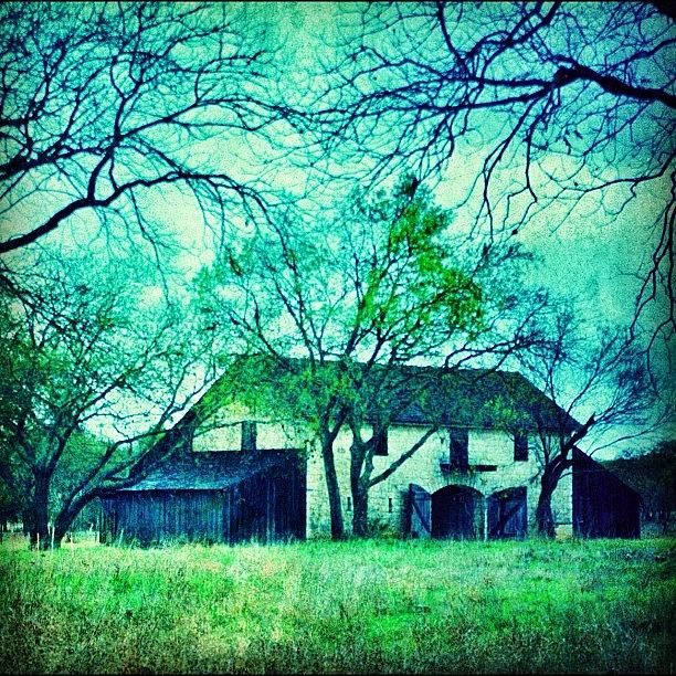 Tree Photograph - #barn #architecture #rural #rustic by Jill Battaglia
