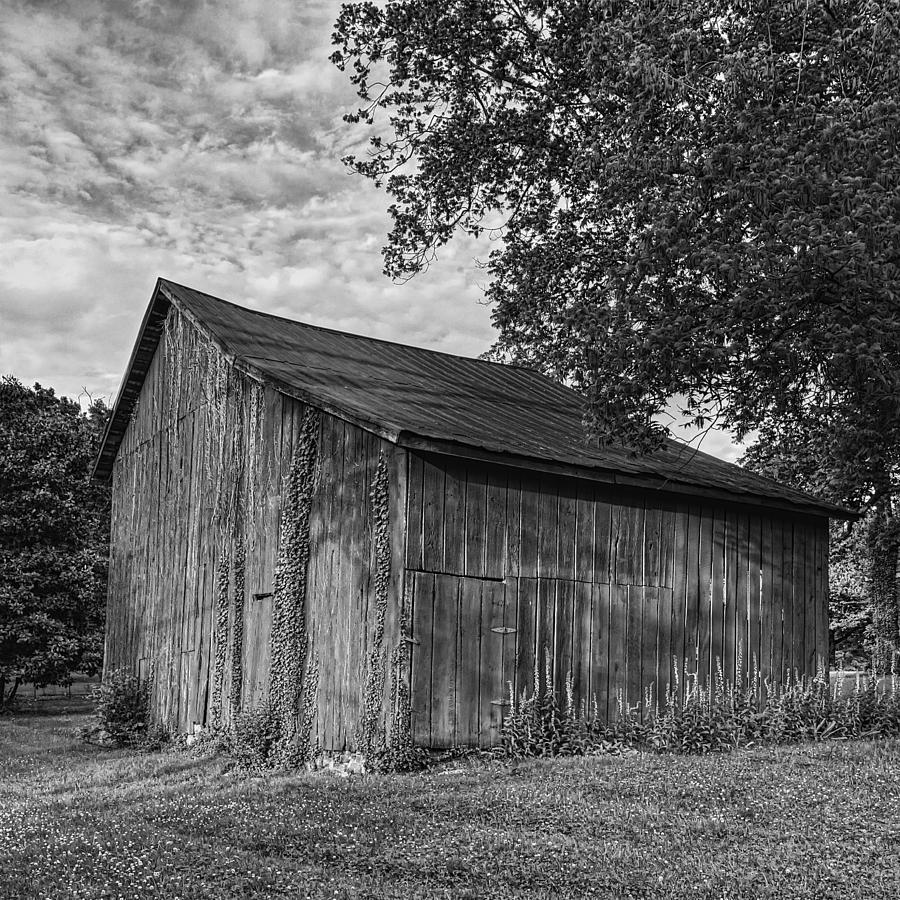 Barn at Avenel Plantation - BW Photograph by Steve Hurt