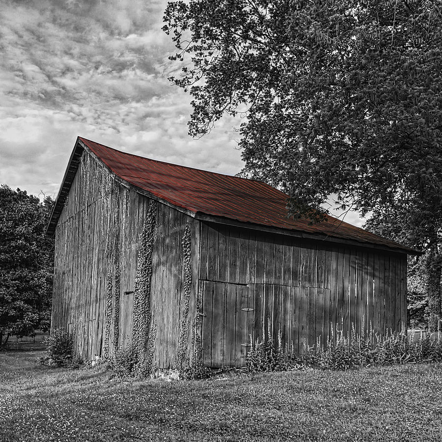 Barn at Avenel Plantation - Red Roof Photograph by Steve Hurt