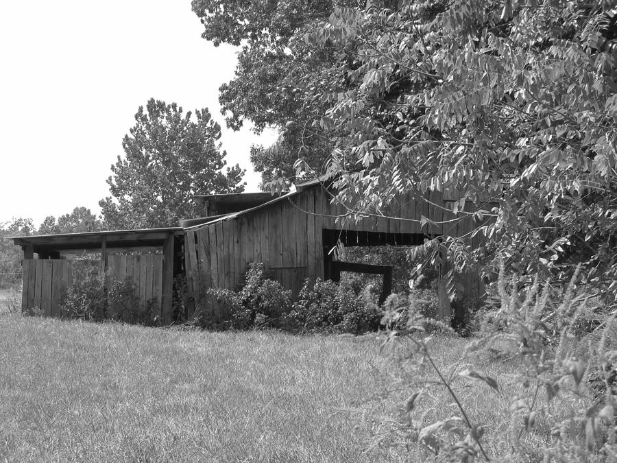 Barn Photograph by Beth Vincent