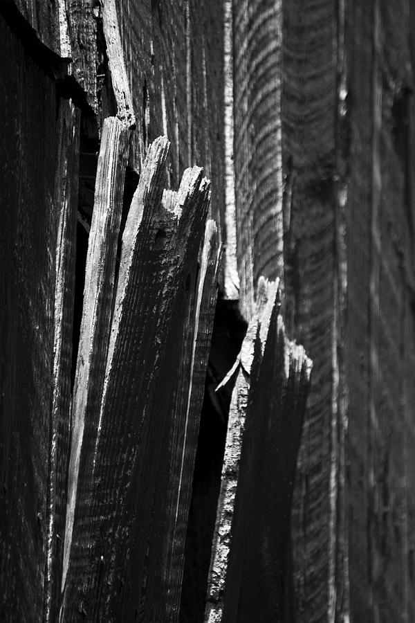 Barn Boards Black and White Photograph by Rebecca Sherman