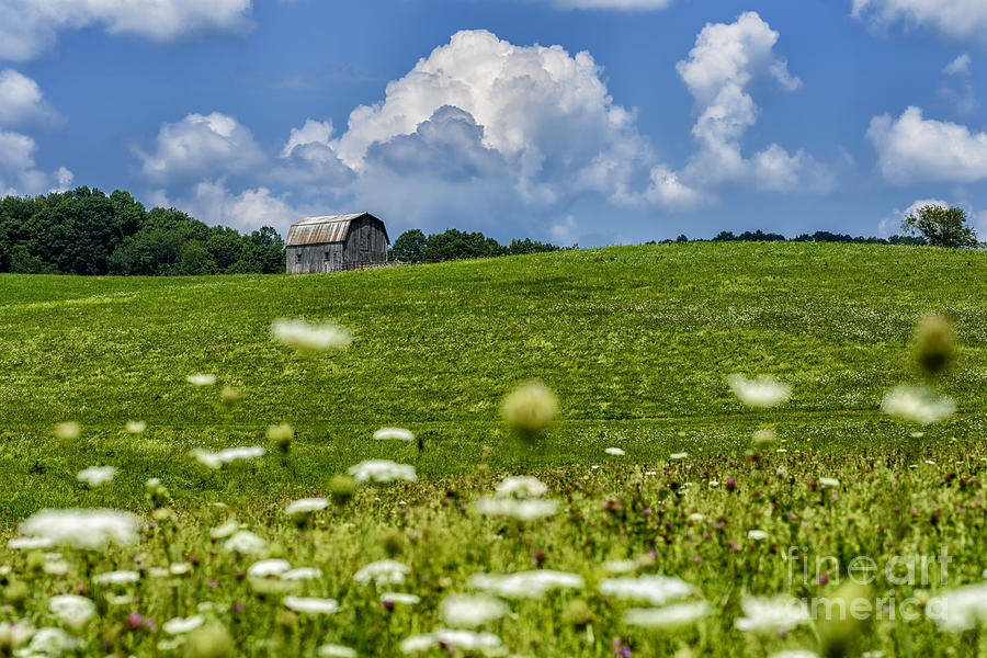Barn Clouds and Pasture Photograph by Thomas R Fletcher